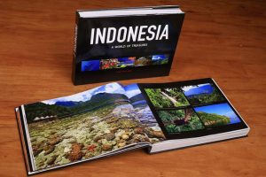 インドネシア語の学習方法、多言語にも応用可能